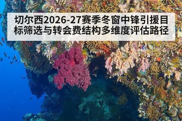 切尔西2026-27赛季冬窗中锋引援目标筛选与转会费结构多维度评估路径